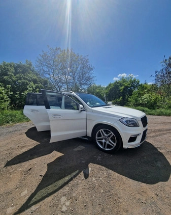 Mercedes-Benz GL cena 111000 przebieg: 220000, rok produkcji 2012 z Wrocław małe 37